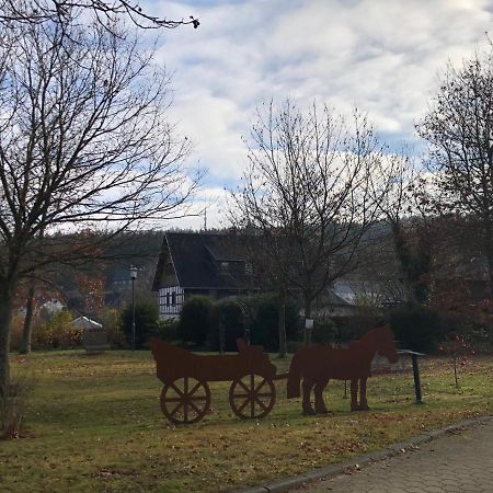 Fennies Huette Villa Medebach Exterior photo