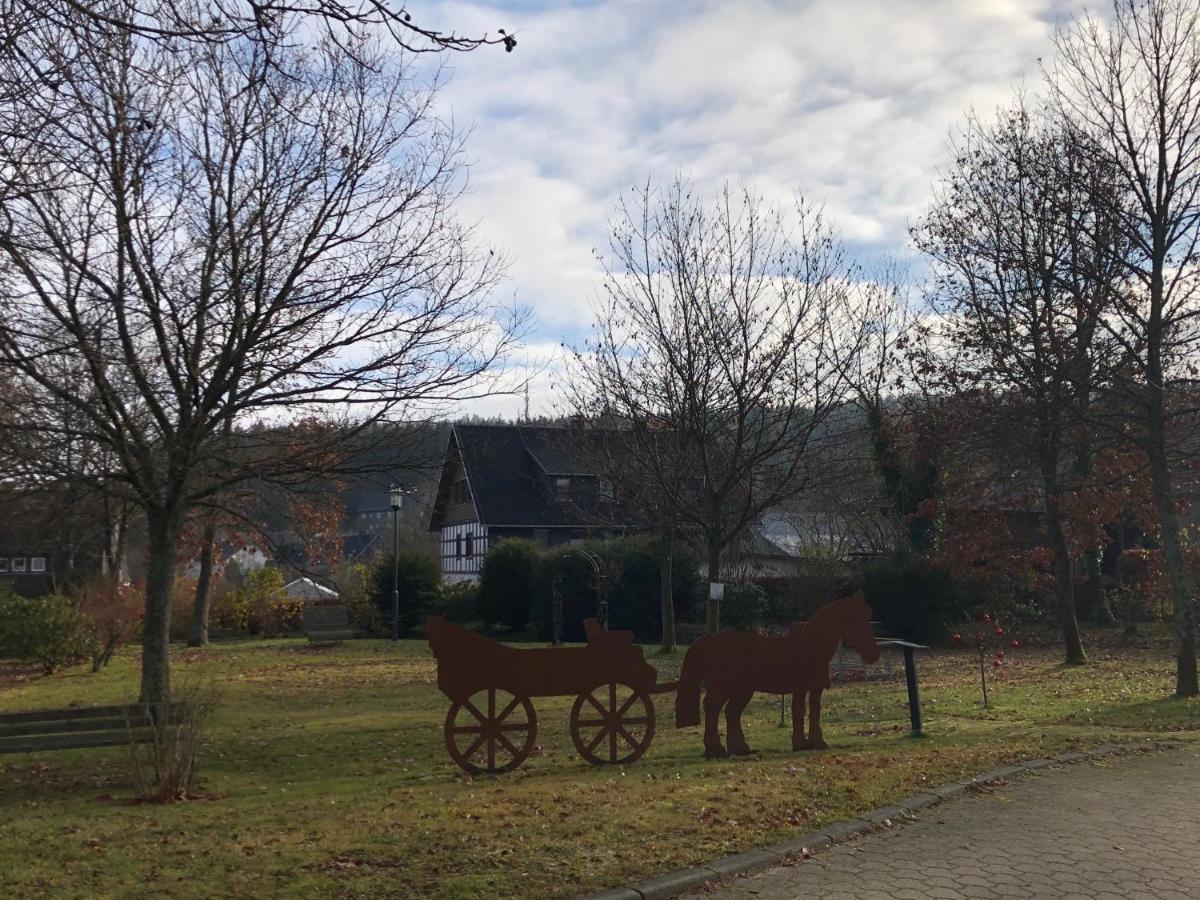 Fennies Huette Villa Medebach Exterior photo